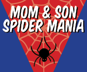 a spider on a web