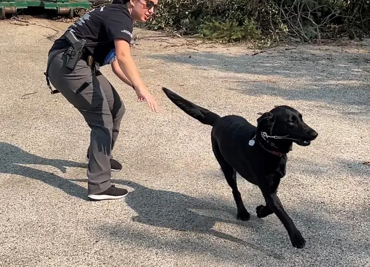 a police officer with a dog