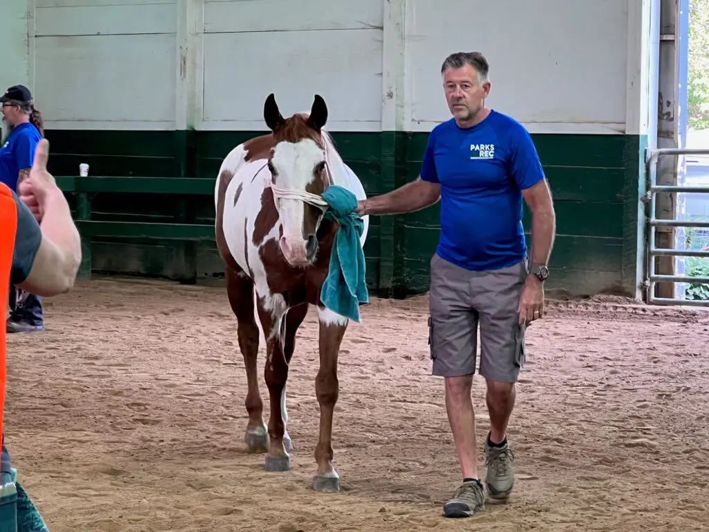a person holding a horse with a towel around his neck