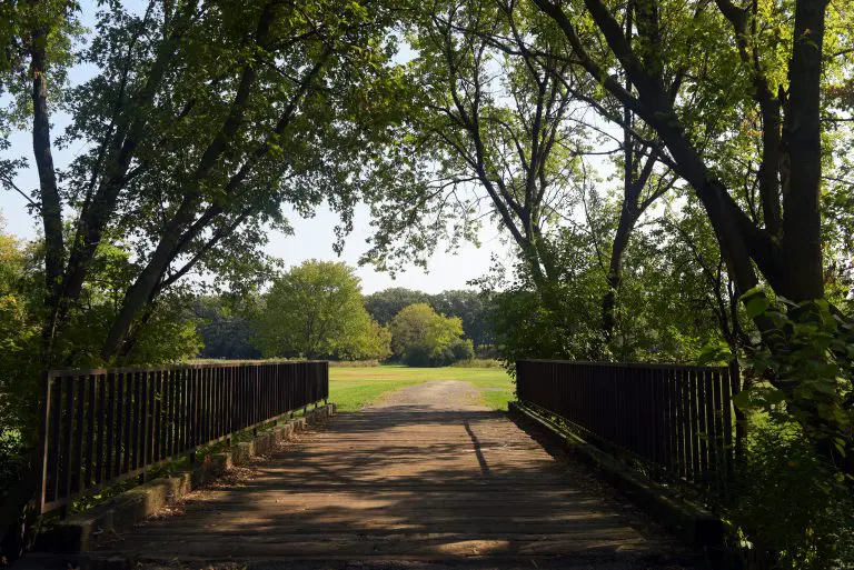 Shady Oaks Park