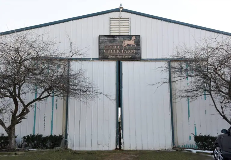 Little Creek Farm