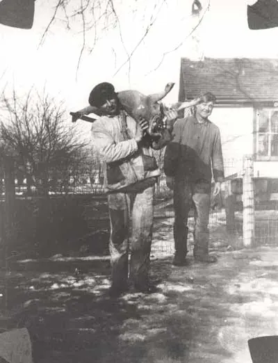 a person carrying a pig