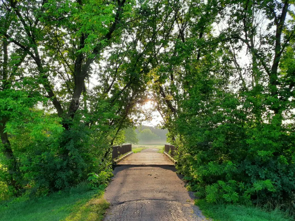 creek bridge surrounded by trees with an open field in the background