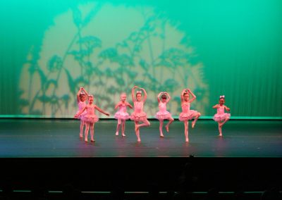 Cultural Arts Academy: Spring Dance Recital 2016