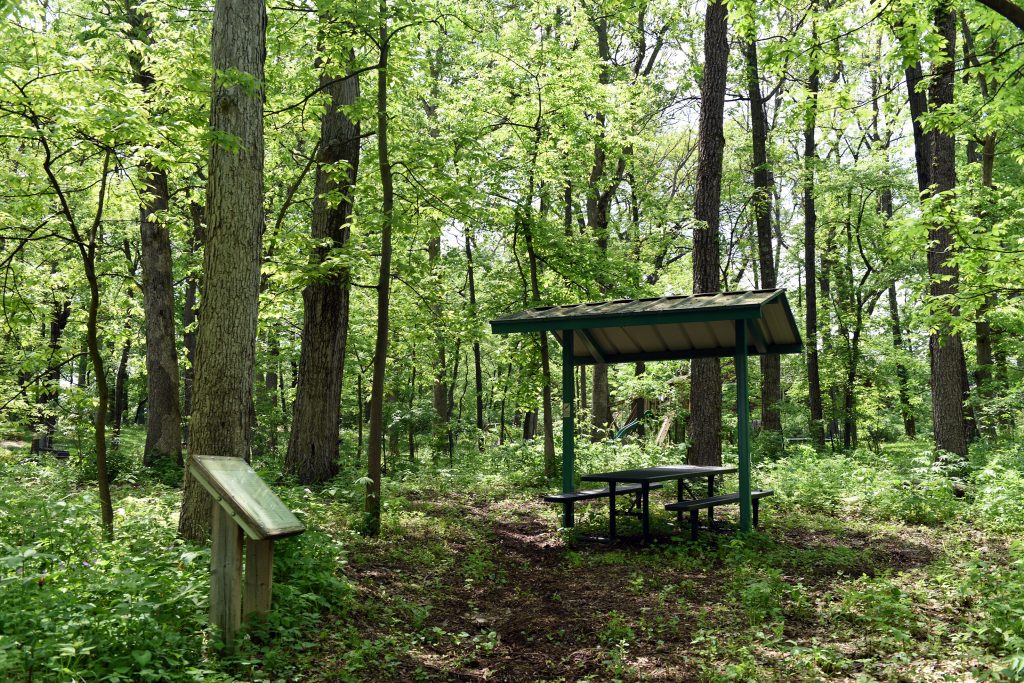 Marquette Woods Park Shelter