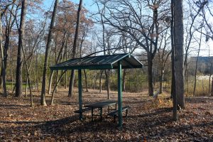 Marquette Woods Shelter