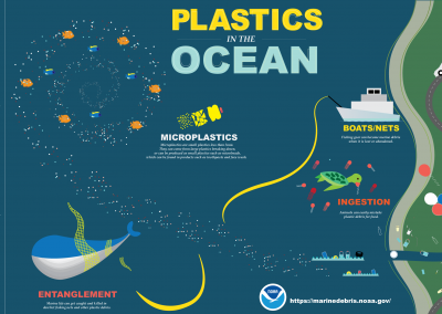 infographic showing plastic marine debris