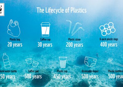 infographic showing lifecycle of plastics