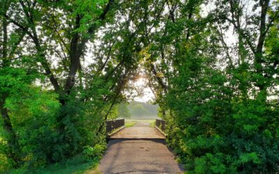 Integrated Pest Management at Parks, Fields
